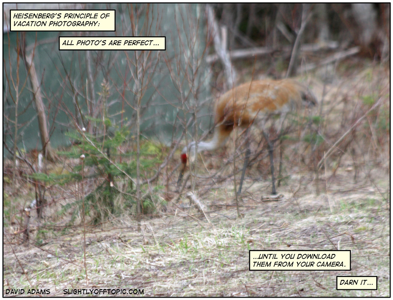 I'm going to have to read the actual manual, aren't I?